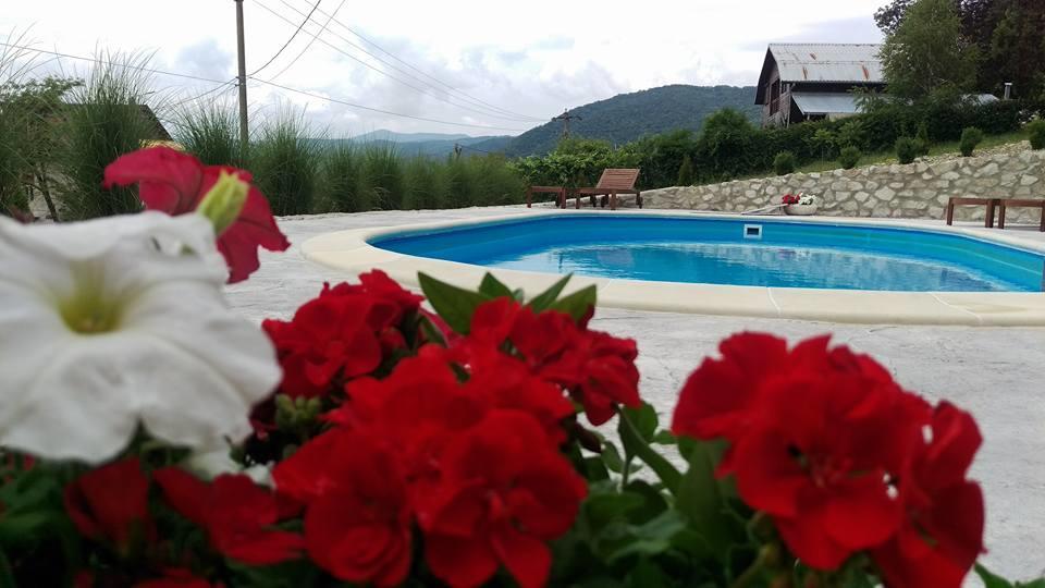 Pensiunea Casa Mircea & Restaurant Ieşelniţa Buitenkant foto