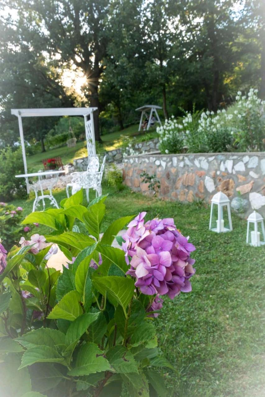 Pensiunea Casa Mircea & Restaurant Ieşelniţa Buitenkant foto