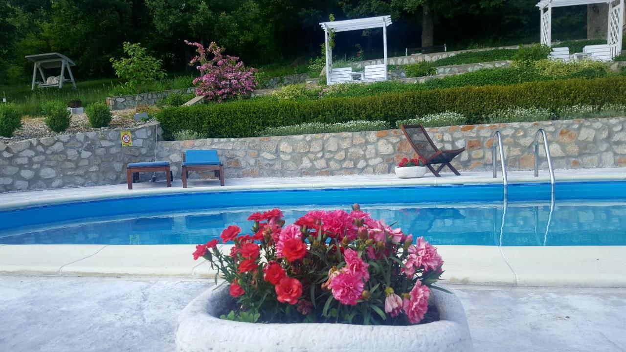 Pensiunea Casa Mircea & Restaurant Ieşelniţa Buitenkant foto